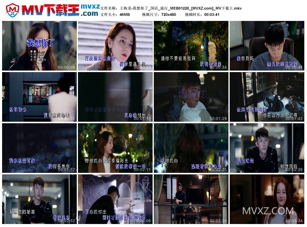 王海龙-我想你了_国语_流行_MEB01220